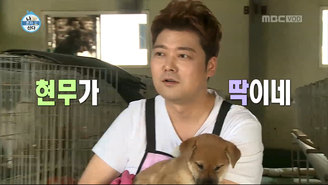 나혼자산다 <b>전현무 유기견 봉사</b>활동 감동 :)