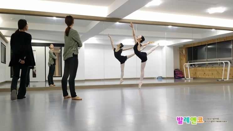  [발레티칭 13탄] "발레전공, 돈 없으면 발레하지마?" 대한민국 발레가 알아야 할 불편한 진실