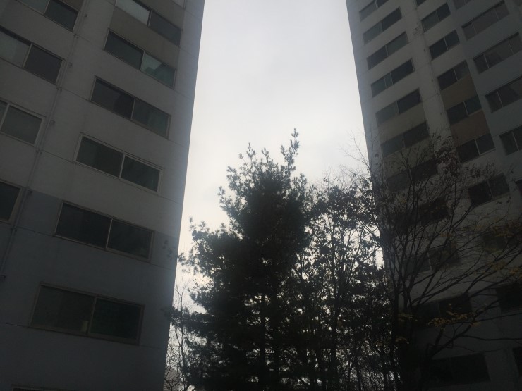  첫눈오는 목요일 출근길 