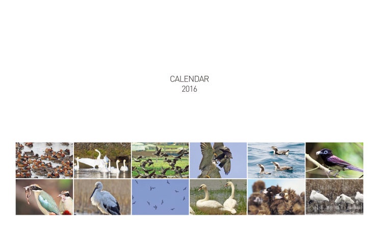  2016 (사)한국조류보호협회 제주도지회, 제주야생동물구조센터 CALENDAR