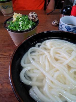  순백의 통통한 면이 일품인 우동ㅎㅎ