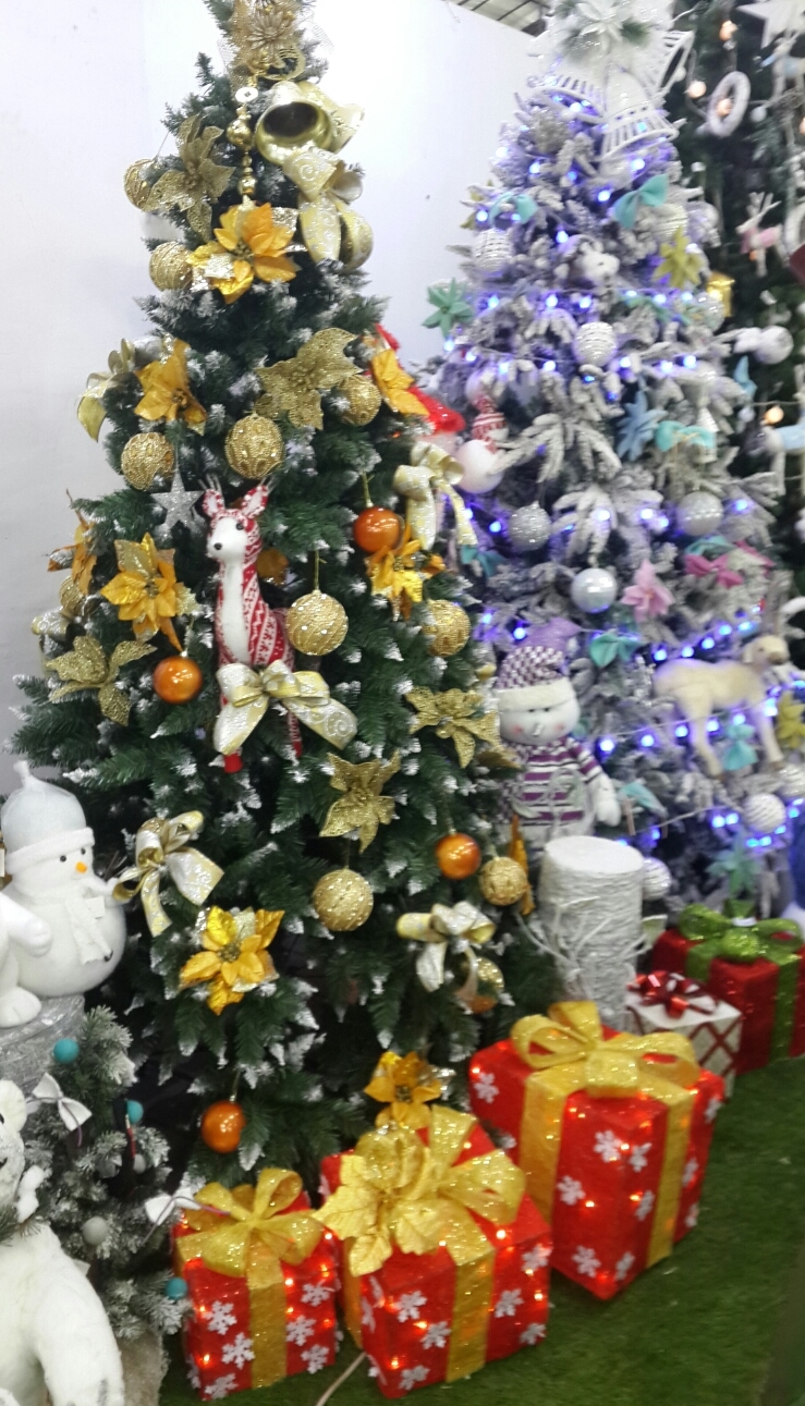 구상나무] 크리스마스 트리는 어떤 나무일까? : 네이버 블로그