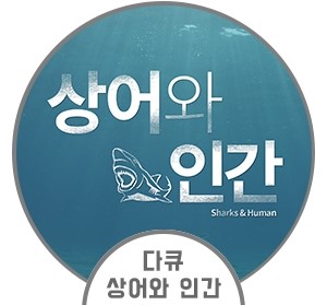 다큐 상어와 인간