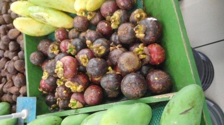 동남아시아 여행, 발리여행의 먹거리 인도네시아의 풍성한 과일