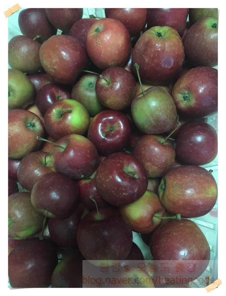  알프스 오토메  맛나요