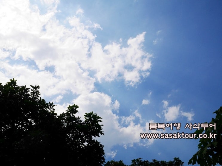  인도네시아 여행)롬복에서 드디어 발전기를 샀습니다!!