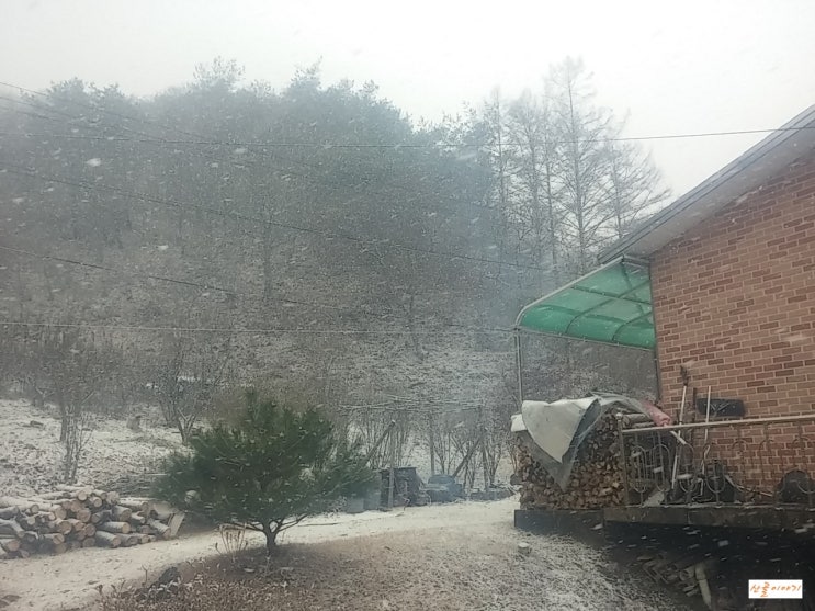 산골에 눈내리는 모습입니다.
