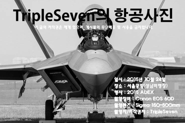 [TripleSeven/항공 사진] 2015 서울에어쇼(ADEX) (10) - 블랙이글스 & F-22 Raptor