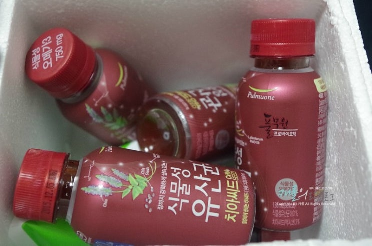 풀무원 식물성유산균 치아씨드로 몸속 순환건강지키자! 