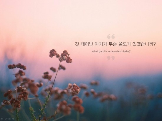  151207 오늘의 명언