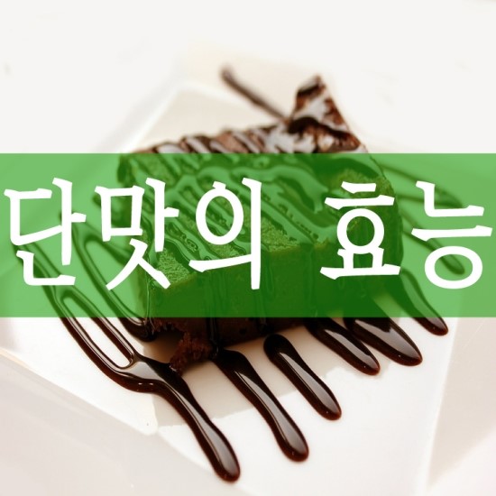  약초의 맛 [단맛 , 쓴맛 , 신맛 ,매운맛 ,짠맛 ] 효능을 아시나요?