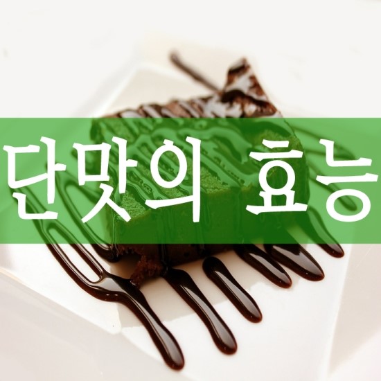 약초의 맛 [단맛 , 쓴맛 , 신맛 ,매운맛 ,짠맛 ] 효능을 아시나요?