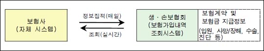 '나이롱환자' 없앤다...'보험가입내역 조회시스템' 개선 - 금감원, 생·손보협회와 시스템 개선 및 보험사 인수심사 기준 강화 유도