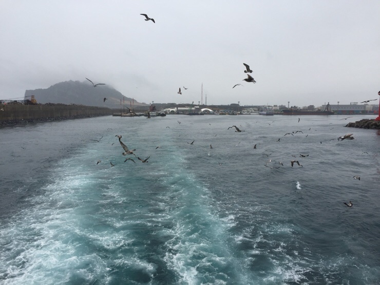  제주도 여행 중...