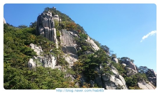  네이버 블로그 활동 참 중독이네요~