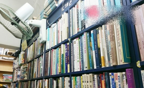  중고헌책방 저렴한 가격에 퀄리티 좋은 책