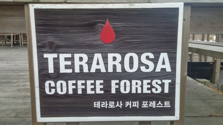 강릉 테라로사 사천점 바다가 보이는 곳에서의 커피한잔의 여유
