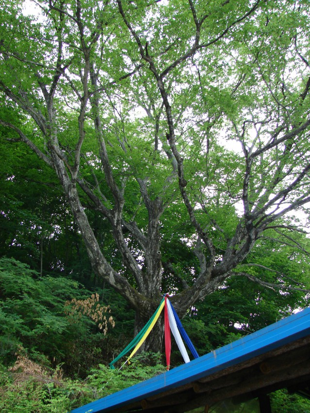  -지리산-