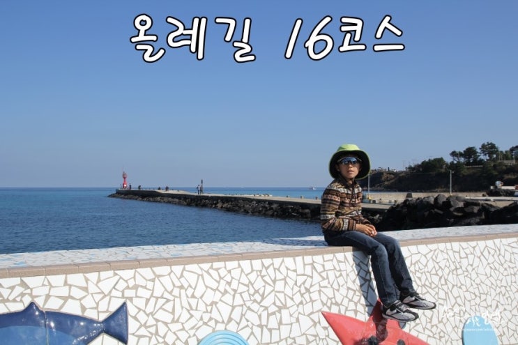  [제주도 올레길 여행] 2. 올레길 16코스 1부