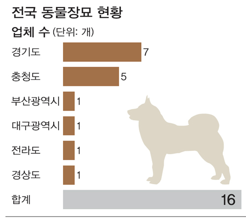 애완동물 장례수요 늘자 불법화장 "기승" - 반려동물 1000만 시대… 사후관리 체계 허술