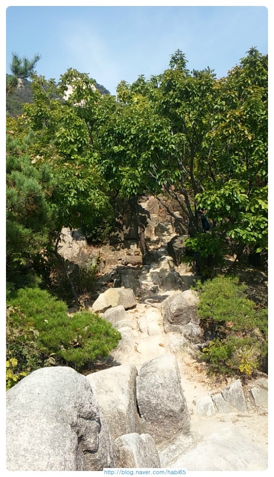  등산 산악회 보다는 등산 밴드 이용해봐~