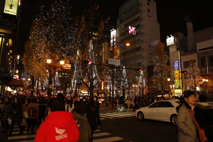 2015-12-19 일본 여행 5일차 : 쿄토-오사카(난바 도톤보리)