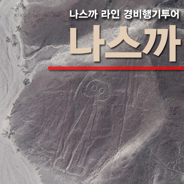  [페루]풀리지 않는 수수께끼_나스까(Nazca)_나스까 라인 경비행기 투어