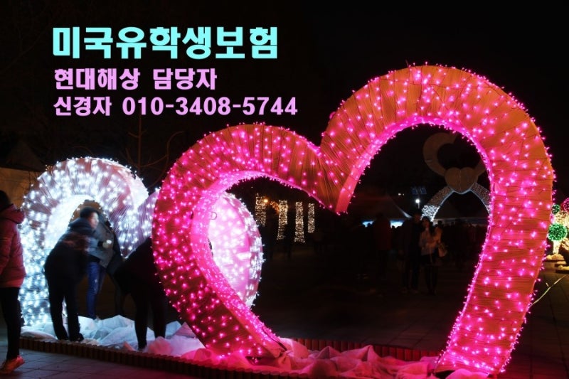 미국유학생보험 - 현대해상 어떨까요?