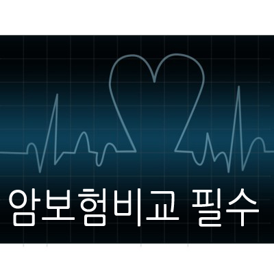 '암보험'은 필수보험, 암보험 진단금 든든해야...