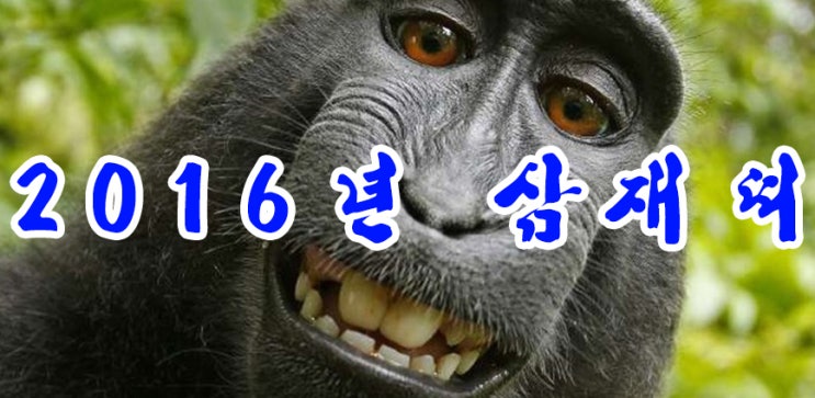  2016년 삼재띠 - 2015년 삼재끝나는띠