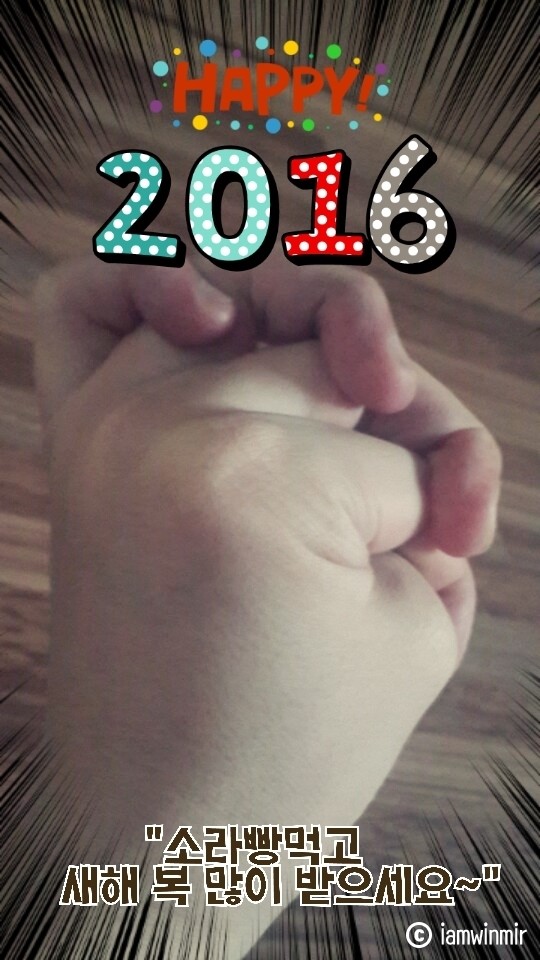 2015.12.31 2015.12.31
