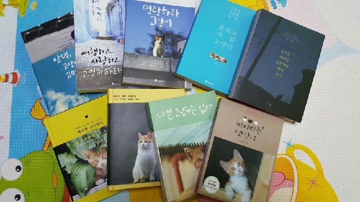  고양이 탐구생활