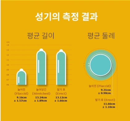 한국남자평균길이!나는 정상크기인가? : 네이버 블로그