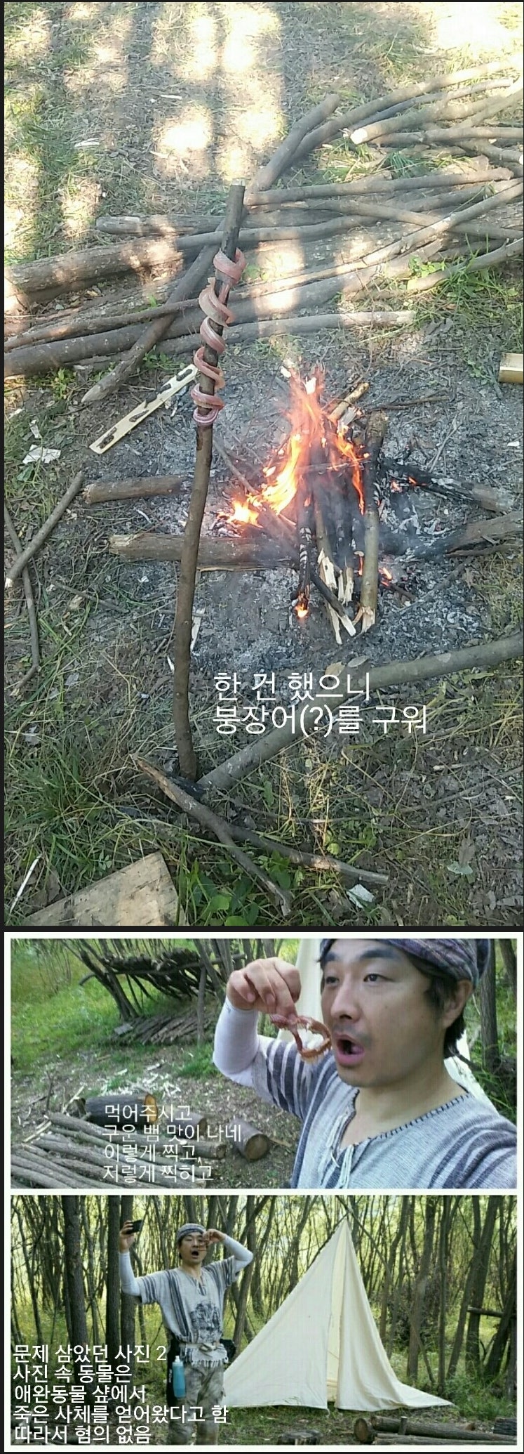 언제까지나 속일 수 없다. : 네이버 블로그, image size:747x2070