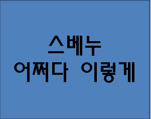  스베누사태 어떻게 된것일까