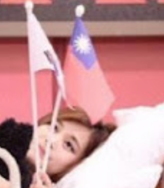  JYP 쯔위 사건 초간단 정리