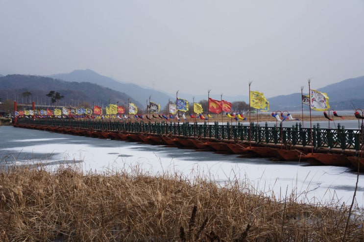 겨울 두물머리 풍경 겨울 두물머리 풍경