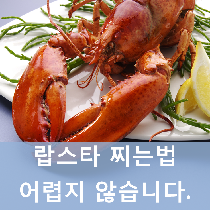 랍스타 찌는법 음식점 갈 필요 없어 ! : 네이버 블로그