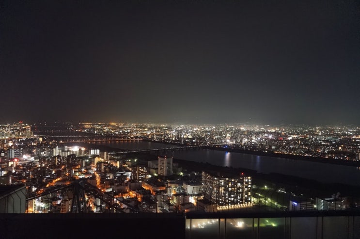 [오사카여행-둘쨋날]플라잉타이거, 오사카성, 한큐백화점 동양정, 우메다 공중정원 (오사카 야경)