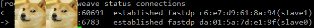  58. [Docker] weave + docker, 간편한 Multi Docker Host Clustering 툴