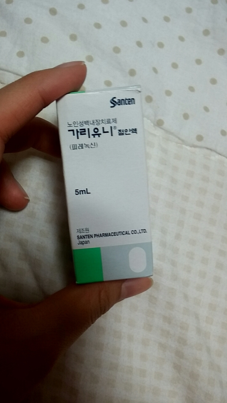 강아지 초기 백내장 완치했어요~ 강아지 백내장 안약 : 네이버 블로그