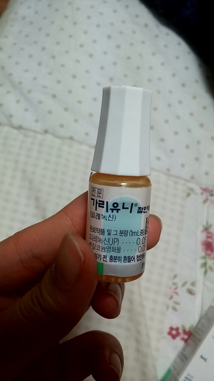 강아지 초기 백내장 완치했어요~ 강아지 백내장 안약 : 네이버 블로그