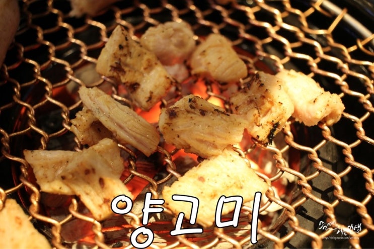  [선릉역 맛집] 선릉 맛집 양대창이 맛나는 양고미