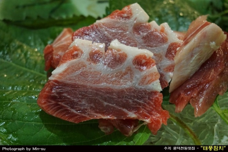  수지맛집/풍덕천동맛집 - "태풍참치"