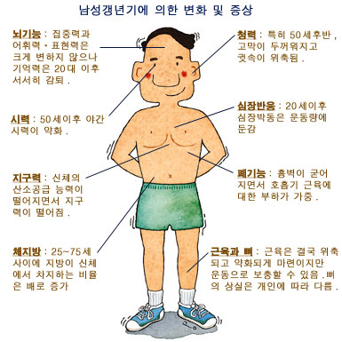 중년 남성이여 호르몬 테스토스테론을 지키자!. 4