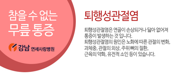 노화 전 연골 보호 10