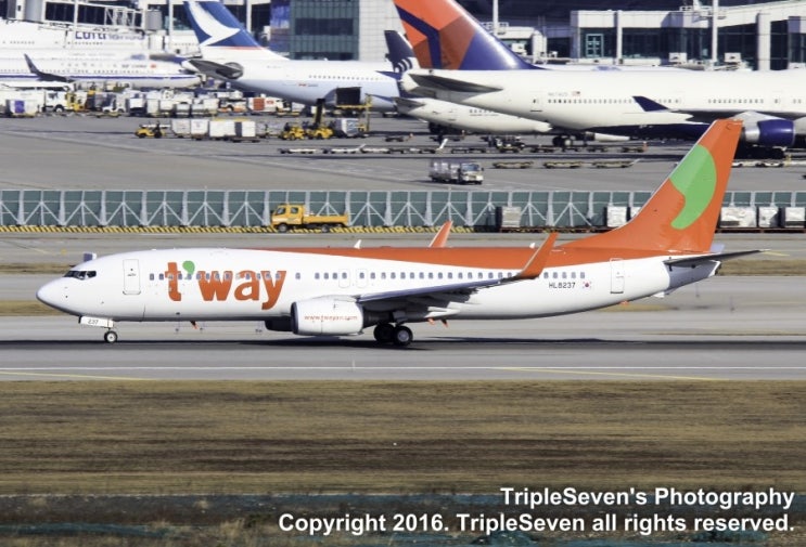 [TripleSeven/항공 뉴스] 티웨이항공, 3월부터 인천~도쿄 노선 취항!