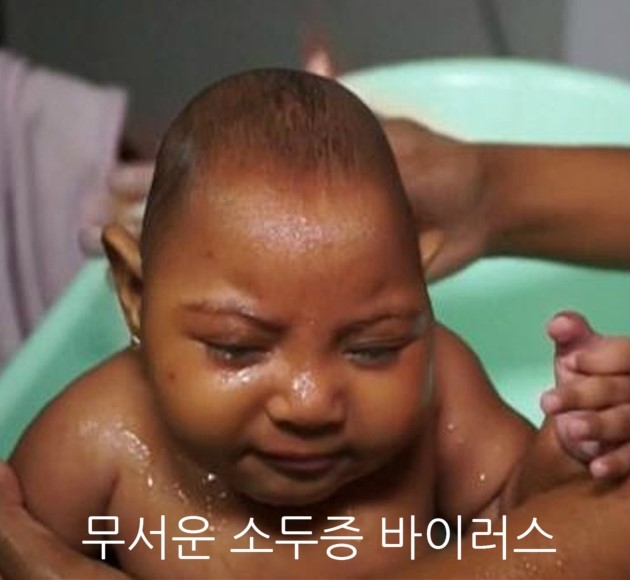 소두증 바이러스 이집트숲모기 기발한 모기퇴치 방법?? 소두증 바이러스 이집트숲모기 기발한 모기퇴치 방법??