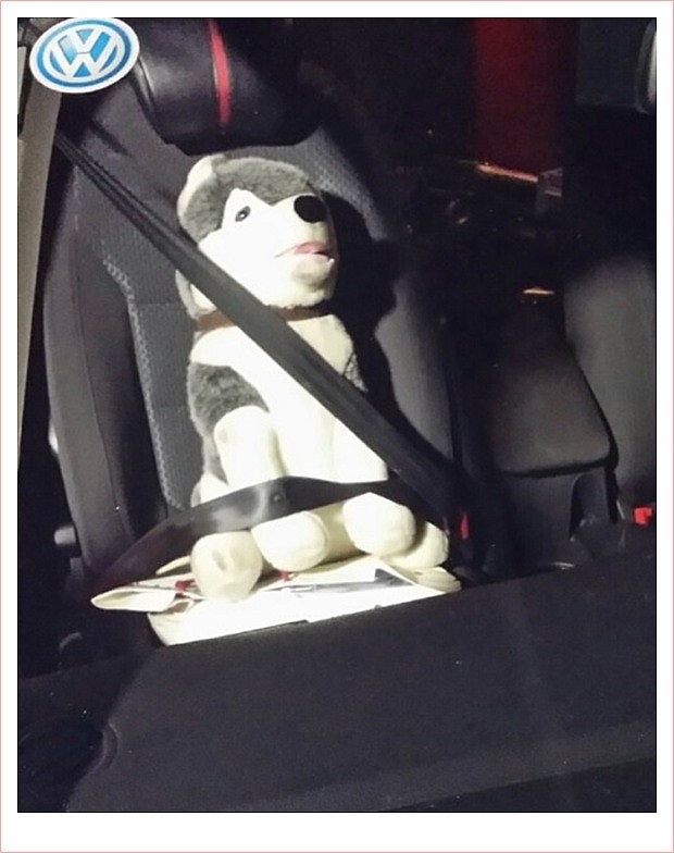  간단 셀프세차하기 in 예일세차장