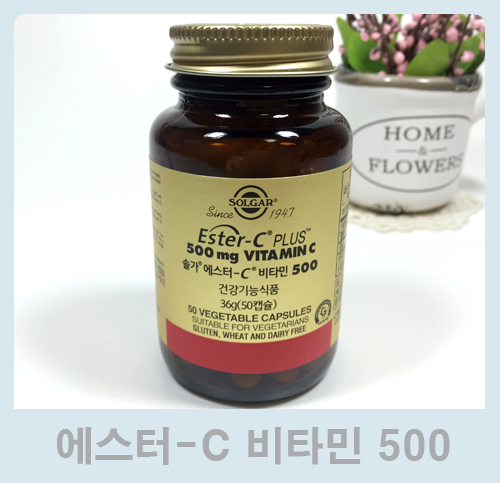 신년선물로 좋은 비타민C 추천!! 솔가 에스터C 500